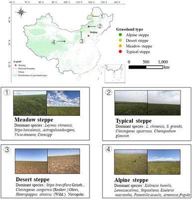 Climate, not grazing, influences soil microbial diversity through changes in vegetation and abiotic factors on geographical patterns in the Eurasian steppe